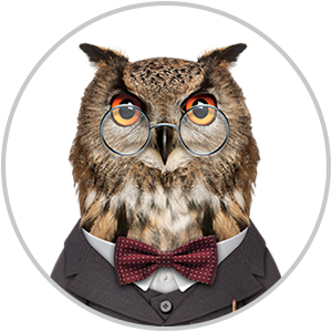 Knowl the Inceptia Owl
